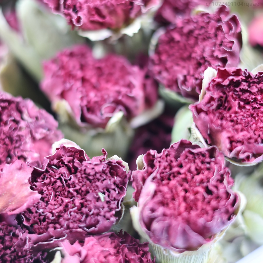 Potpourri Dried Flower - 250 g/500 g hochwertige natürliche Nelken-Trockenblumen