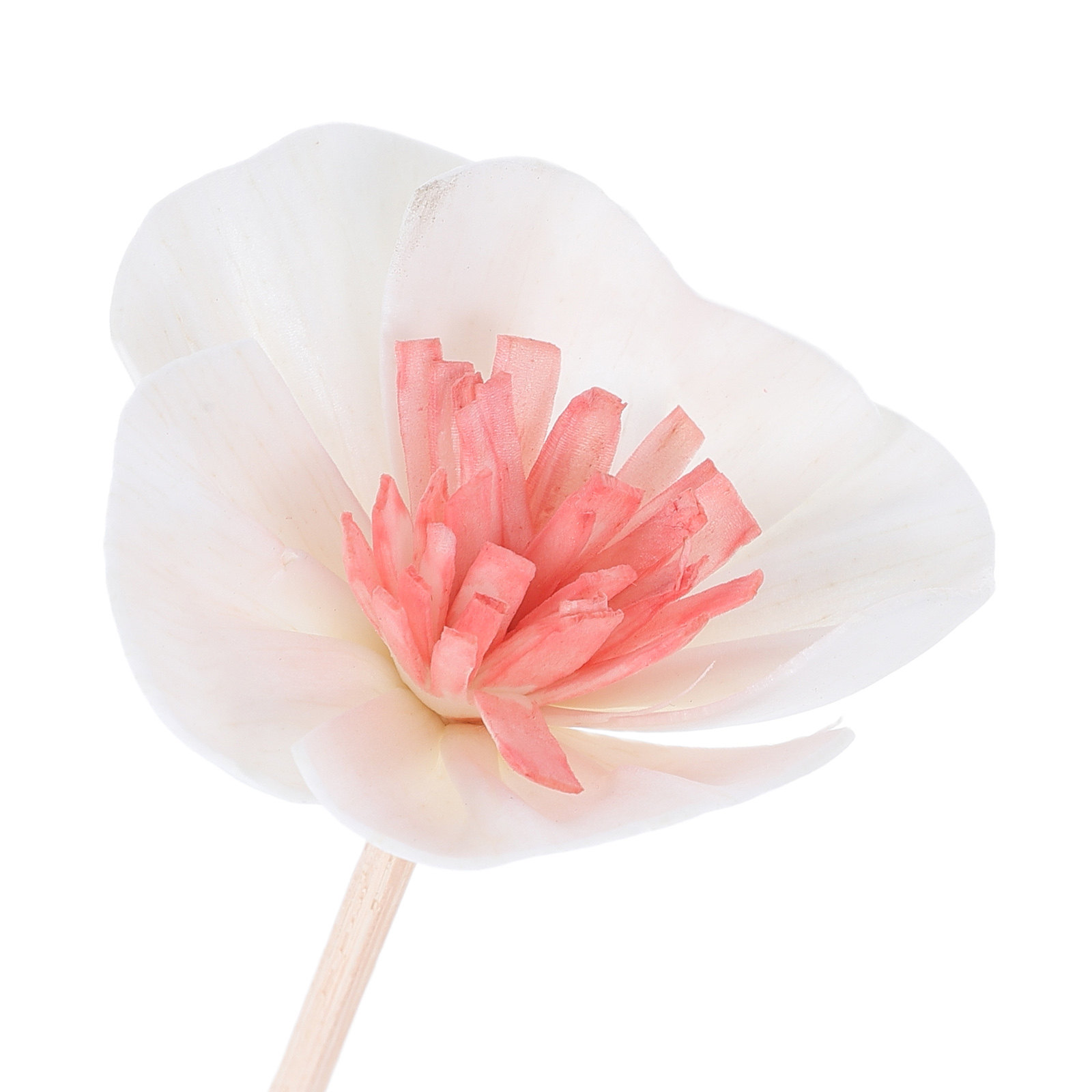 10 Stück Diffusorstäbchen für  – Home Fragrance Diffuser Oil Bewertung und Preis