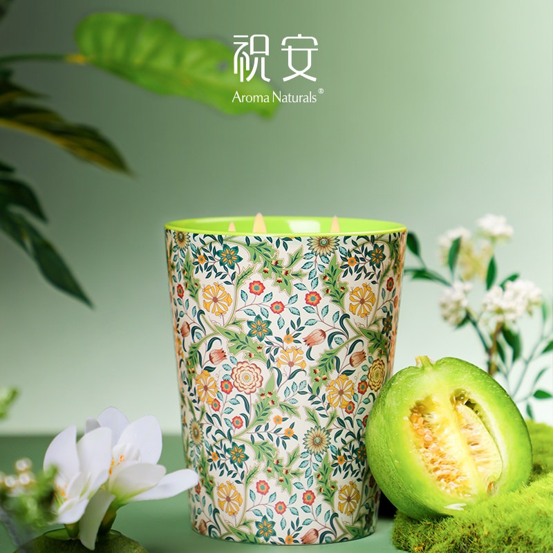 Artist Series Aroma Naturals D – Home Fragrance Luxury Bewertung und Preis